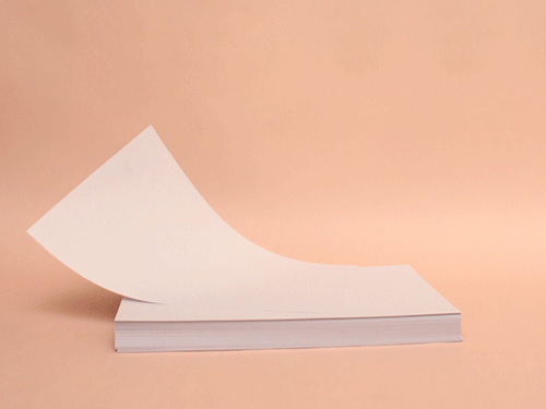 Midori Traveler's</br> Notebook